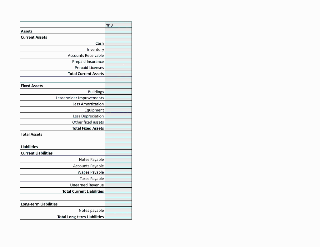 years 2-3 5000/mo Website $9,000 one time expense at startup Marketing 200/mo