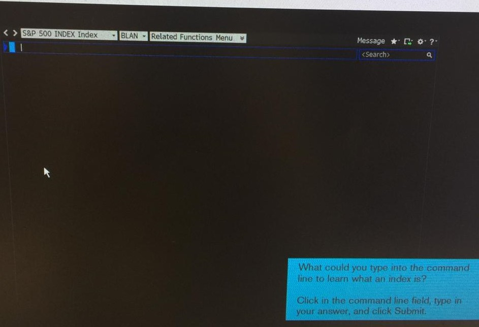 What could you type into the Bloomberg terminal command line to learn