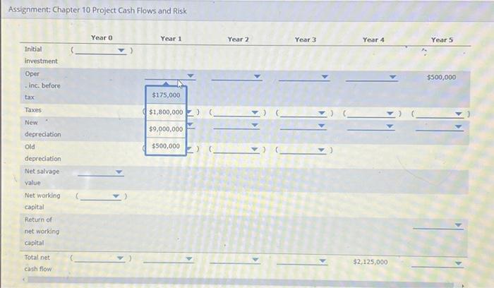 Cash Flows and Risk Assirnment: Chapter 10 Proiect Cach Flows and Piek.