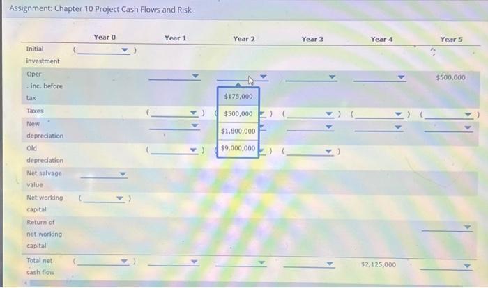 Assignment: Chapter 10 Project Cash Flows and Risk Assignment: Chapter 10 Project