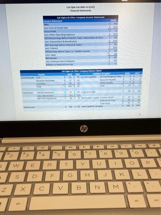 for CAT, which are located in the Appendix, prepare a statement of