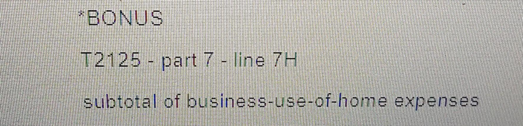 * BONUS T2125 - part 7 - line 7H subtotal of