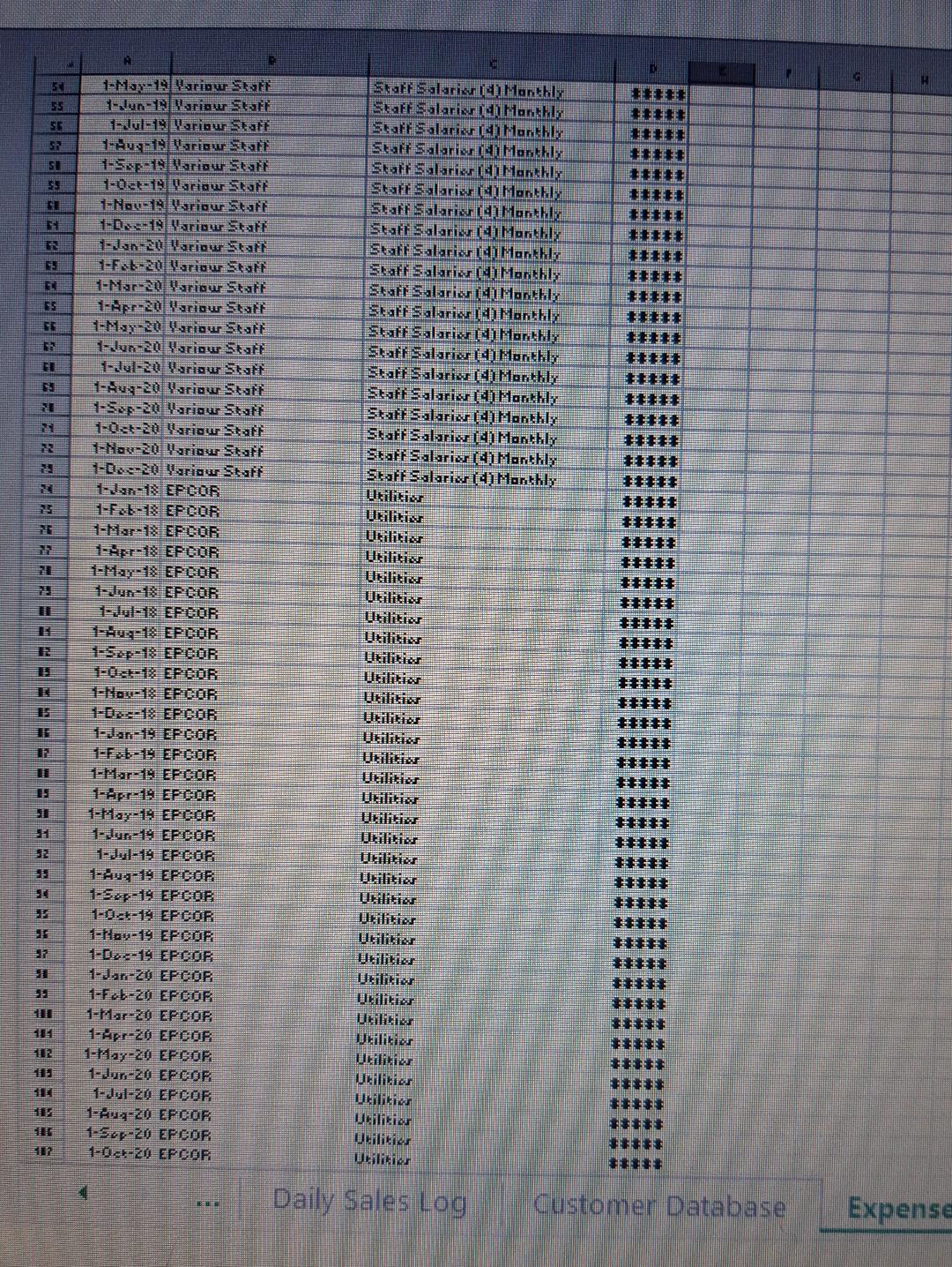 analyze their financials for the last 3 years and budget this year