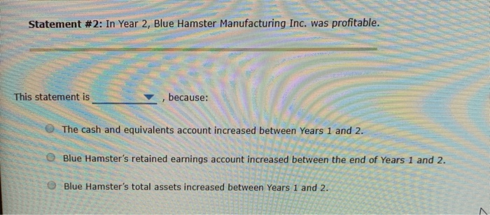 the information given on the balance sheet and other financial statements to