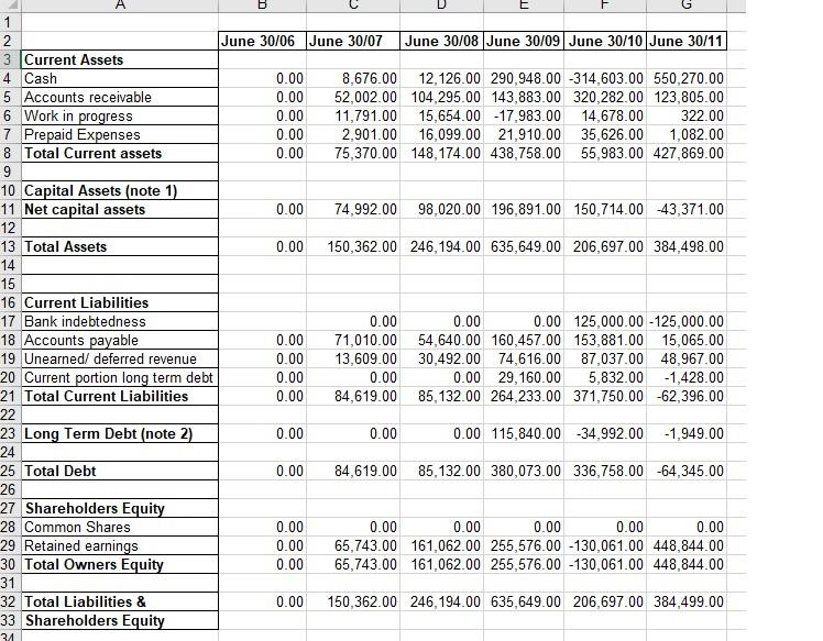 Evaluate the financial statement for XYZ Inc and write a report of