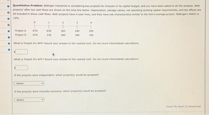 inclusion in its capital budget, and you have been asked to do