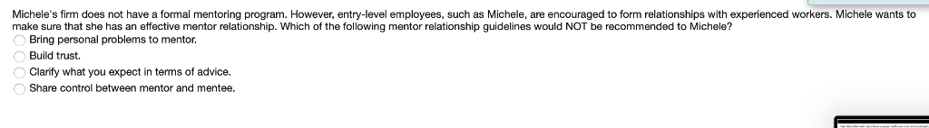  Michele's firm does not have a formal mentoring program. However, entry-level