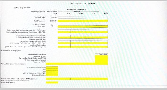 cash flow forecast and valuation shown below. Enter indicated to complete the