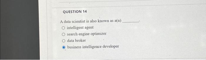  QUESTION 14 A data scientist is also known as a(n) O