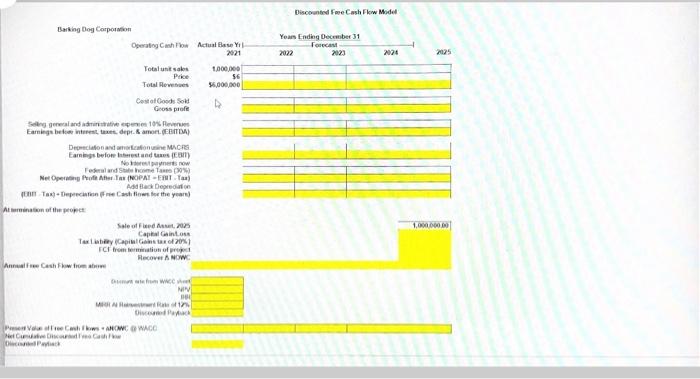cash flow forecast and valuation shown below. Enter indicated to complete the