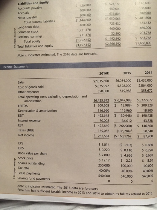 balance sheet and income statement. What can you say about the companys