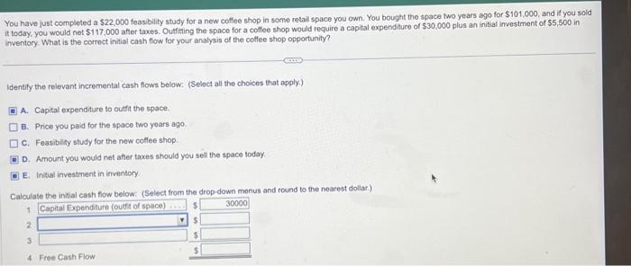 PLEASE HELP You have just completed a $22,000 feasibility study for a