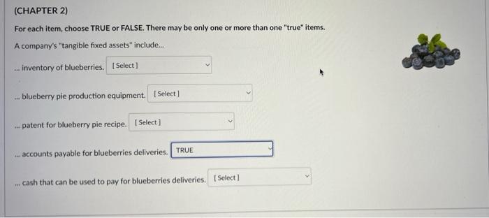  (CHAPTER 2) For each item, choose TRUE or FALSE. There may