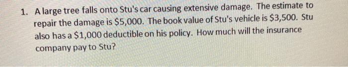  1. A large tree falls onto Stu's car causing extensive damage.