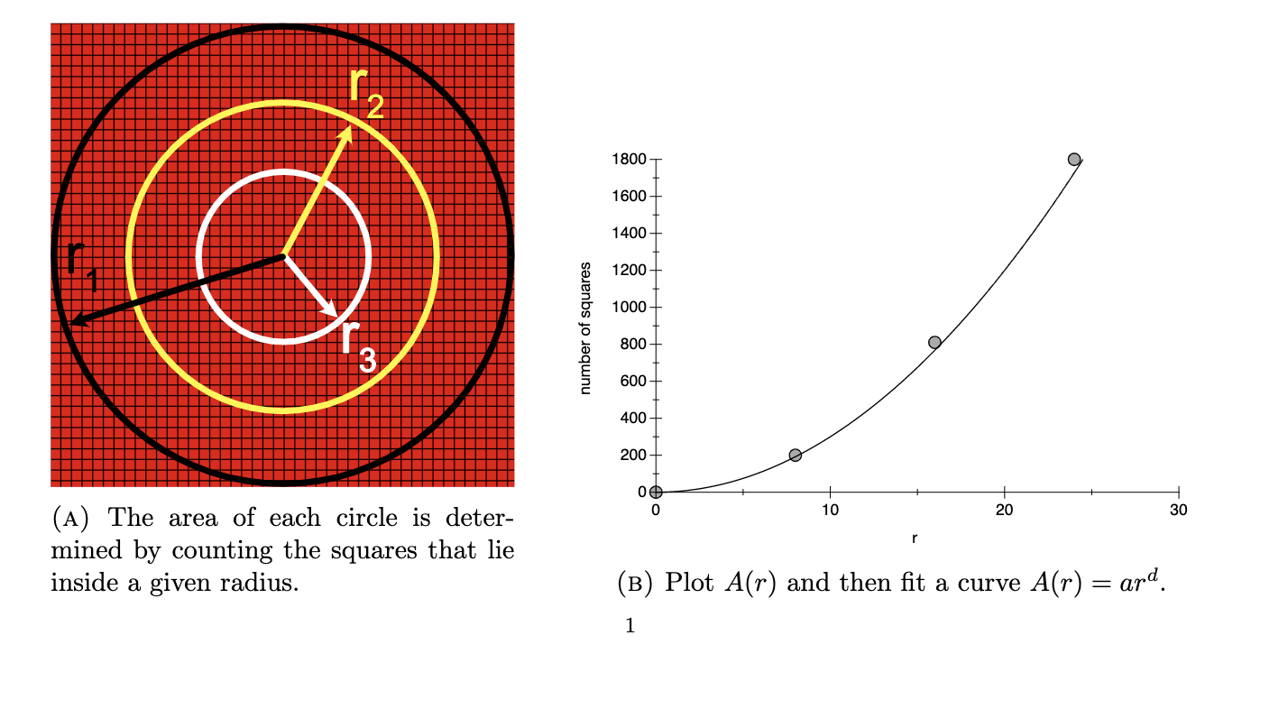 to compute the fractal dimension of DLA clusters in 2 dimensions. There