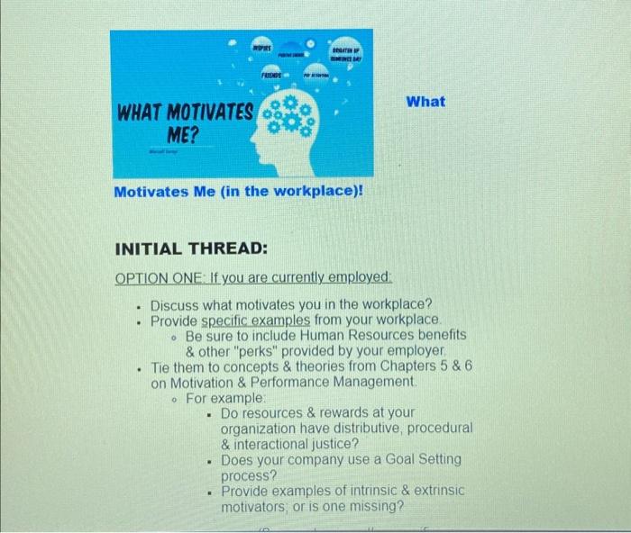  INITIAL THREAD: OPTION ONE: If you are currently employed: Discuss what