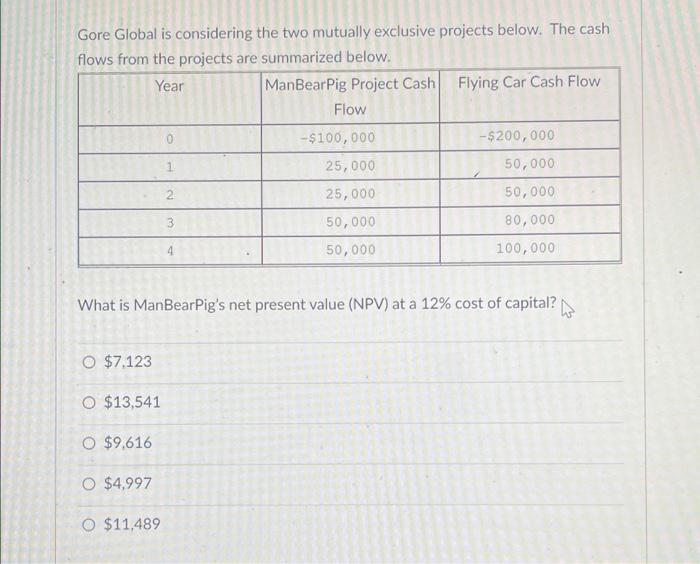 Gore Global is considering the two mutually exclusive projects below. The