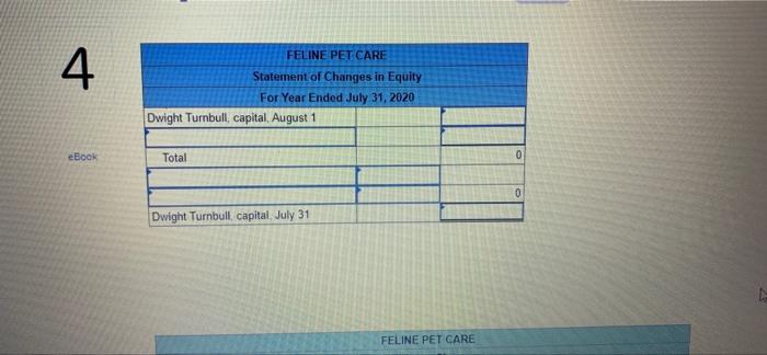 523 645 655 Feline Pet Care Trial Balance July 31, 2020 Account