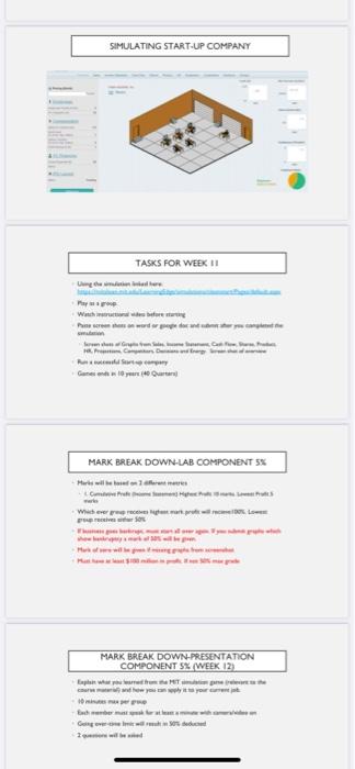  Simulation project SIMULATING START-UP COMPANY TASKS FOR WEEK 11 My Witcher
