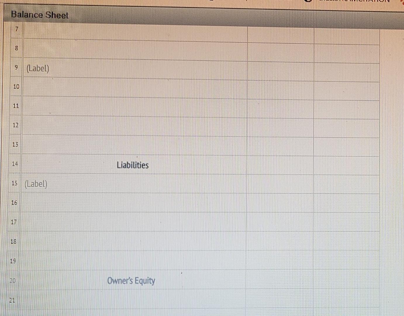 owner's equity, and a balance sheet for month ended July 34 2019.