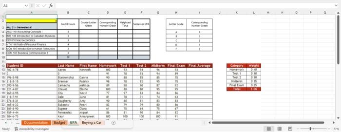 2 In the documentation worksheet enter your name in cell student number