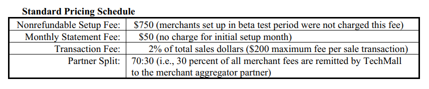 Case Study Background TechMall.com, the brainchild of three ambitious professionals, is a