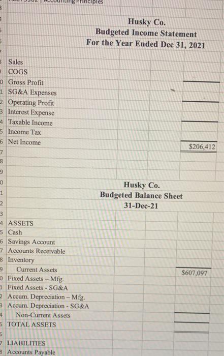 EXPENSES: 27 Cost of Goods Sold 28 Selling, General & Administrative 29