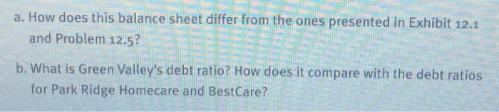 this balance sheet: Green Valley Nursing Home Inc. Balance Sheet December 31,