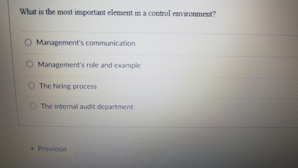 What is the most important element in a control environment? O