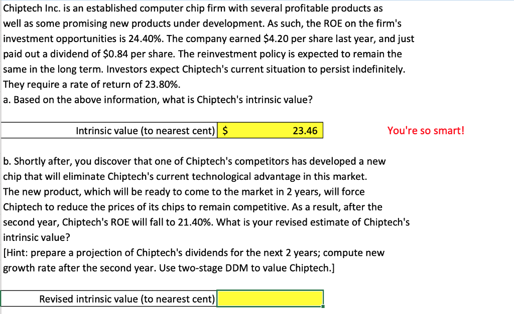 Chiptech Inc. is an established computer chip firm with several profitable