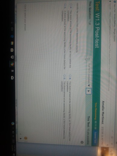  Amalia Test: W1.3 Post-test Amalia Test: W1.3 Post-test