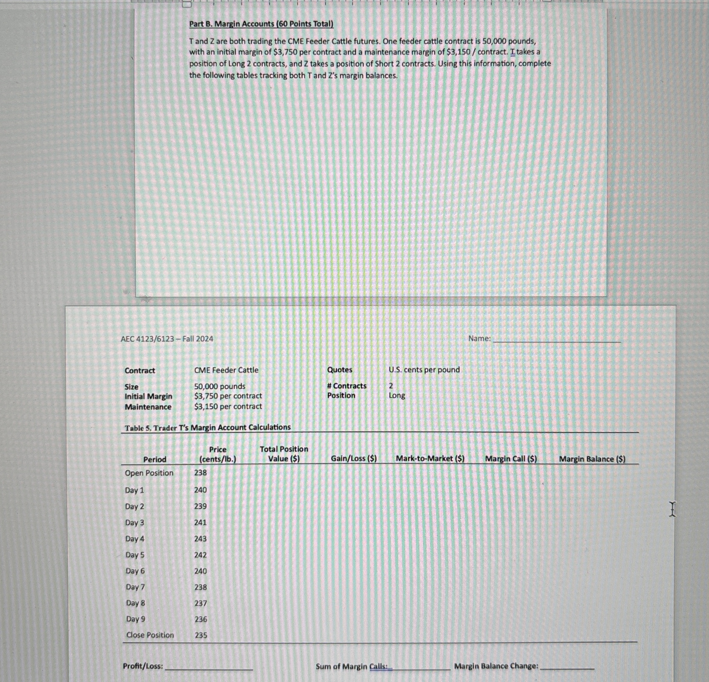  Part B. Margin Accounts (60 Points Total) T and Z are