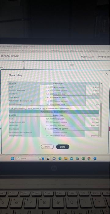 balance sheet for these companies. Review each company' centages of total assets.
