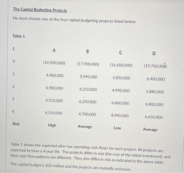 recently hired by Imagine Software Inc. as a junior budget analyst. He