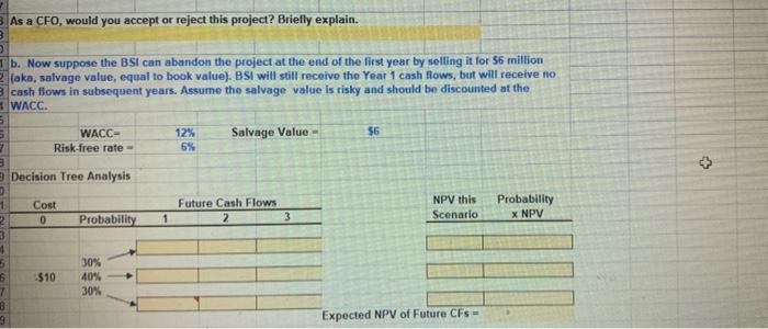 Inc. (BSI) is considering a project that has a cost of $10