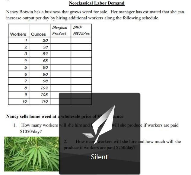  Neoclassical Labor Demand Nancy Botwin has a business that grows weed