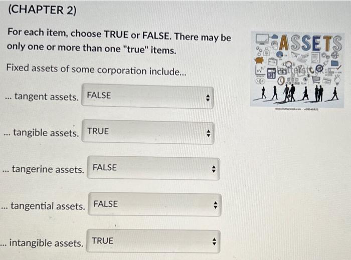  (CHAPTER 2) For each item, choose TRUE or FALSE. There may