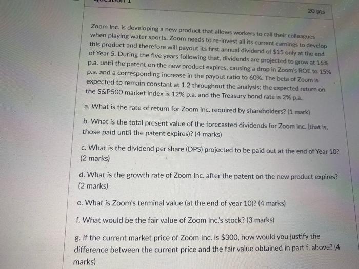  20 pts Zoom Inc. is developing a new product that allows