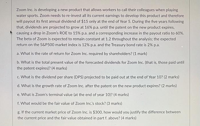  Zoom Inc. is developing a new product that allows workers to