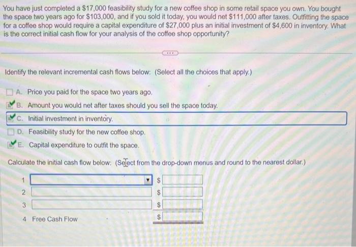 please help! You have just completed a $17,000 feasibility study for a