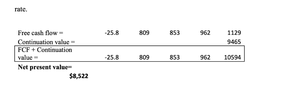 excerpt from Rowing Inc.'s pro forma statements. Estimate the company's long-term value