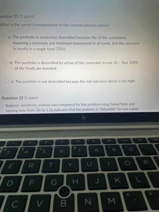 diversification? a) The constraints in rows 19 through 23 b) The constraint