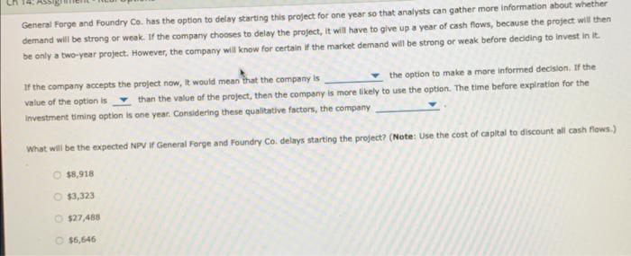 blank 3- should not or should Companies often need to choose between