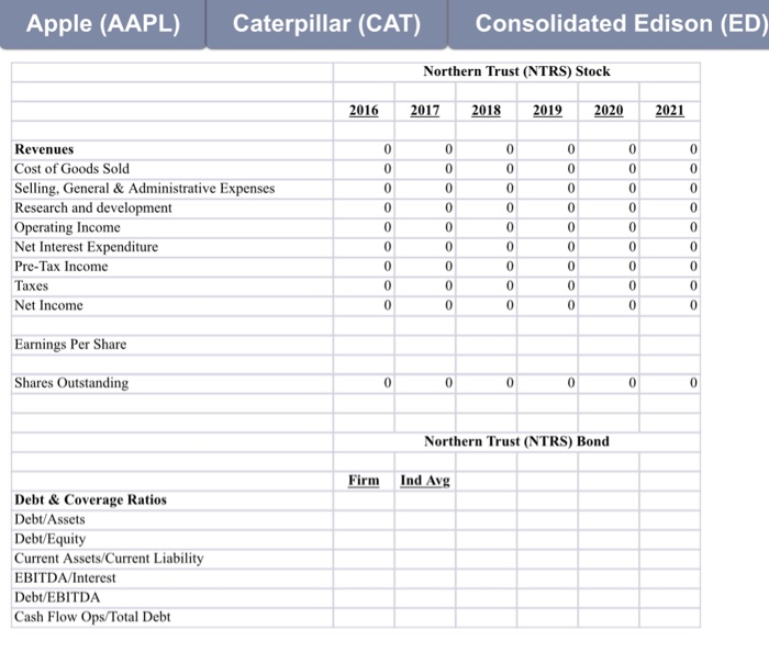company, which will include a portfolio analysis template that you will use