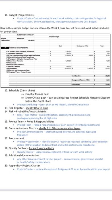 risk register and budget planning. please make this assignment as soon as