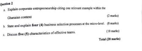  4. Explain corporate entrepreneurship citing one relevant example within the Ghanaidn