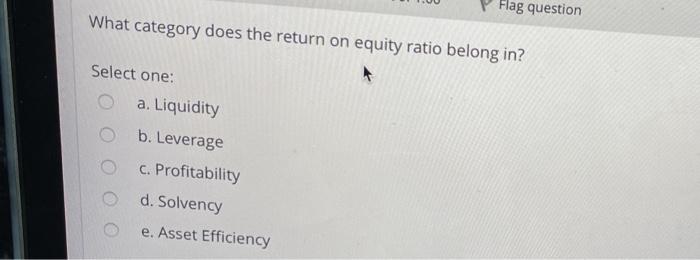  Flag question What category does the return on equity ratio belong