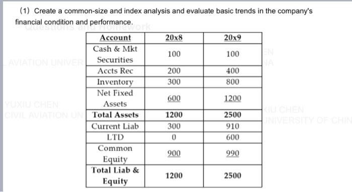  (1) Create a common-size and index analysis and evaluate basic trends