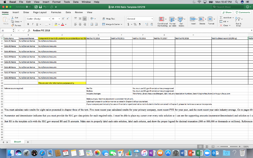 I need an example and thank you. I need ratios for netflix,