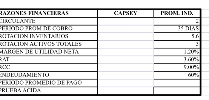 CAPSEY COMPUTER COMPANY BALANCE GENERAL AL 31 DE DICIEMBRE DE 2009 ESTADO